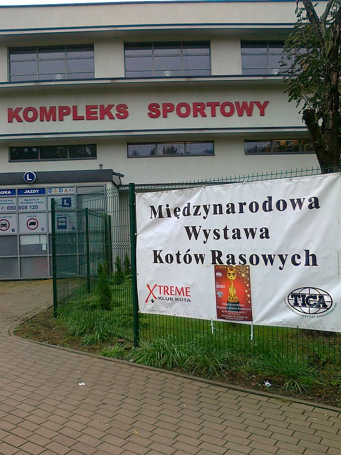 Cel mojej dzisiejszej wycieczki. Moja starsza wnuczka chciała zobaczyć koty