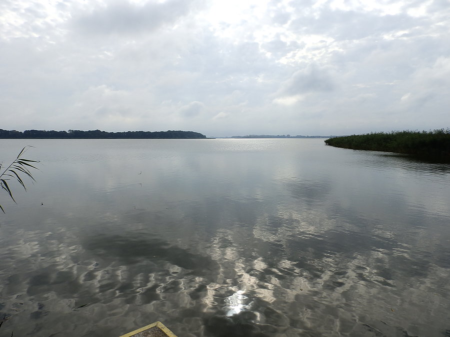 Dziwna w Sierosławiu
