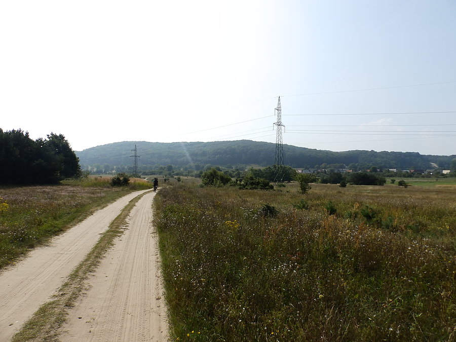 Dojazd do Wapnicy