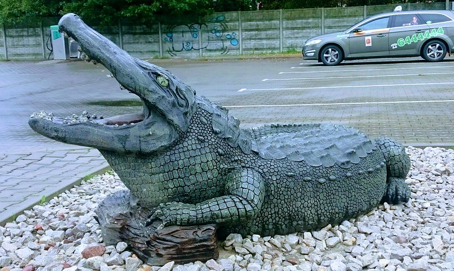 Prawdziwe krokodyle łzy z powodu beznadziejnej pogody
