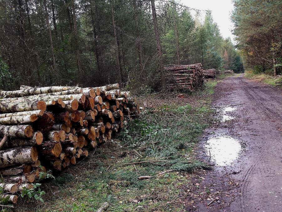 Dojazd pożarowy 48