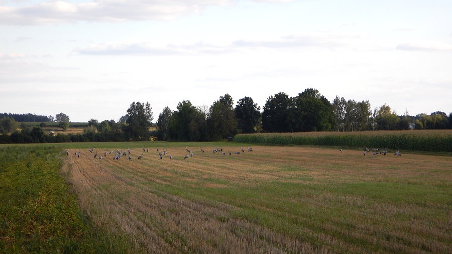 Wyprawa - dzień 2