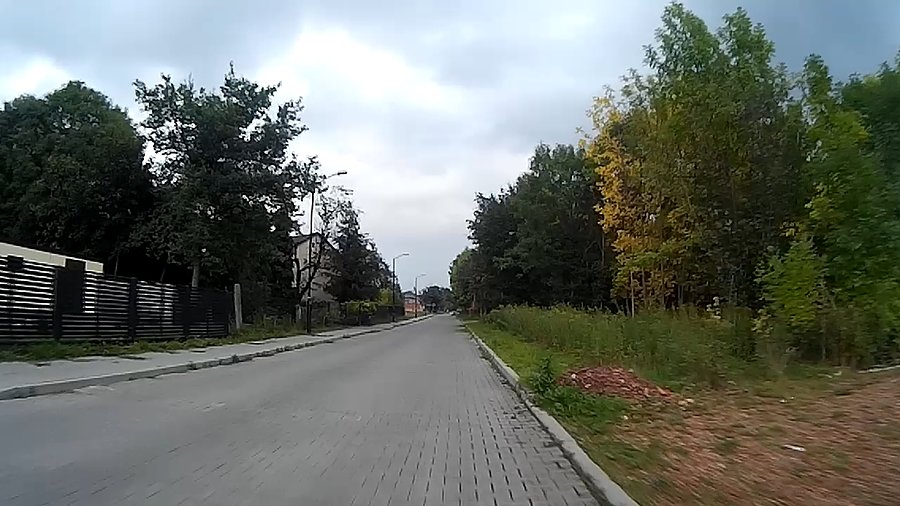 Coraz więcej drzew zmienia kolory i zrzuca liście