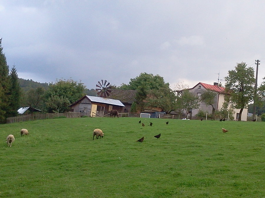 Młynek wiatrowy w Więcłowicach