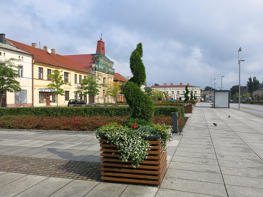 Słońce wyjrzało na ok. 2 h? z przerwami, wreszcie