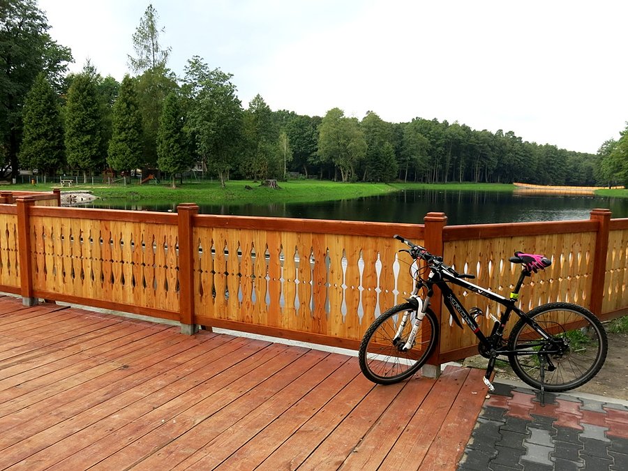 Przy zrewitalizowanym terenie, nad stawem spalskim