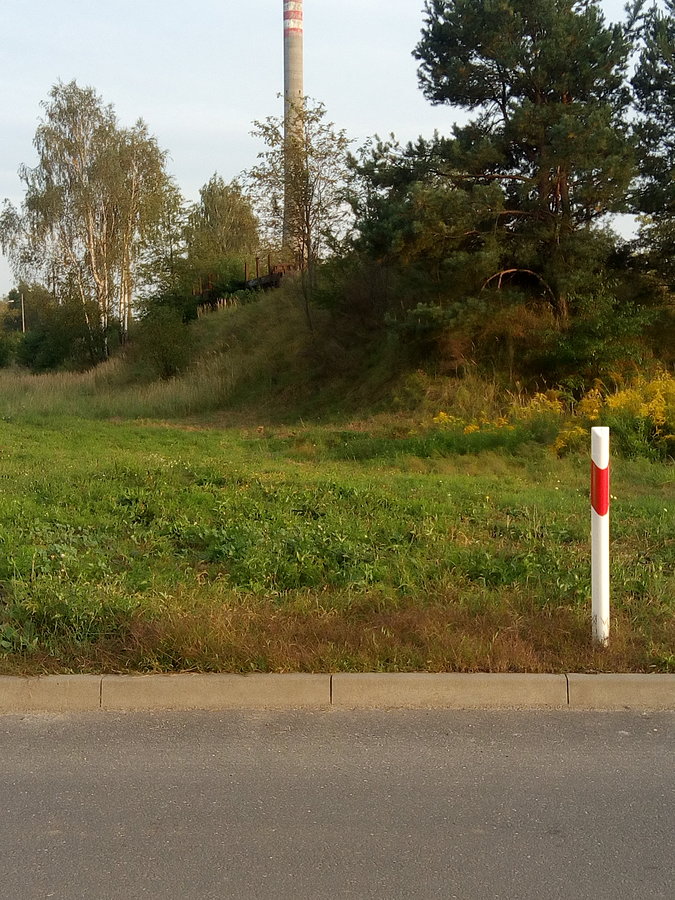 Ukryte w chaszczach