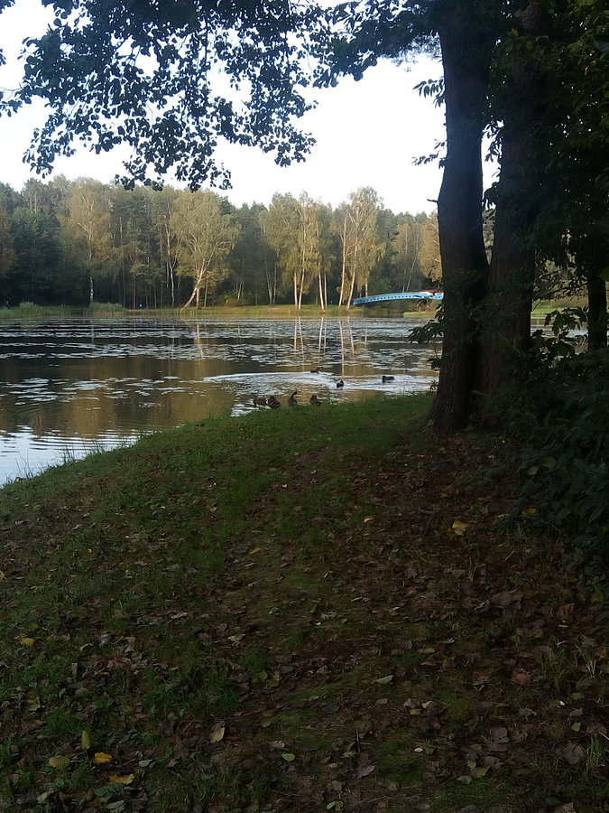 Kaczuszki