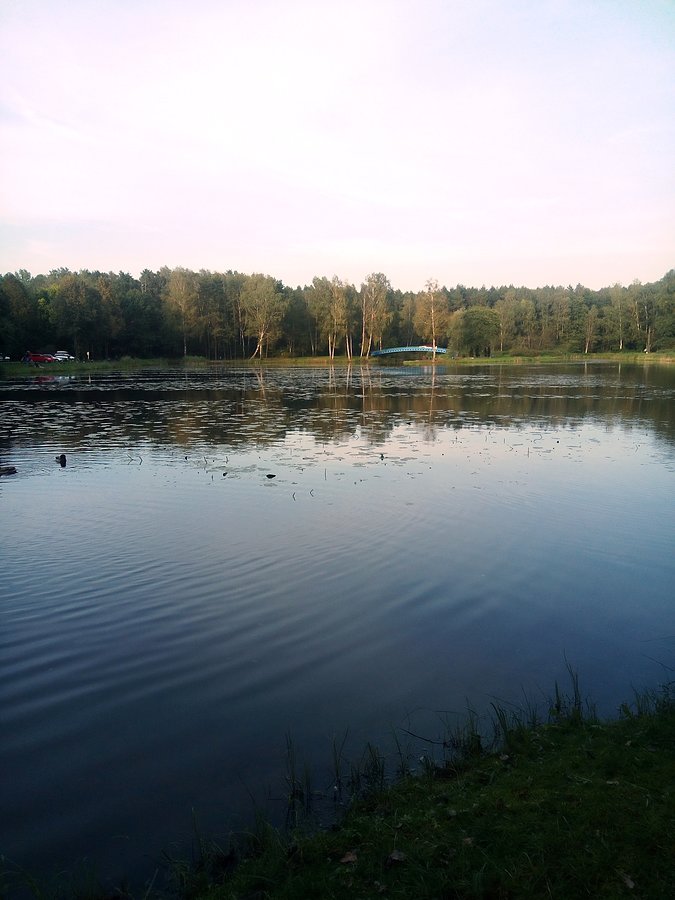 Zalew