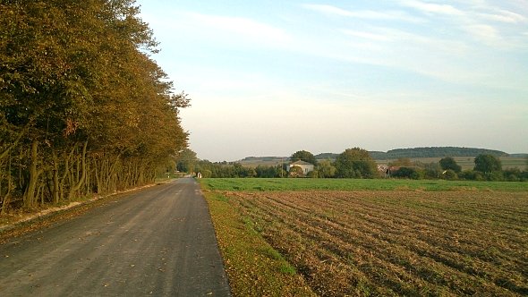 Nowy asfalt w Wierciszowie