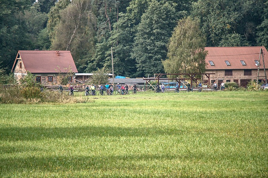 Prezes prowadzi grupę do starego młyna
