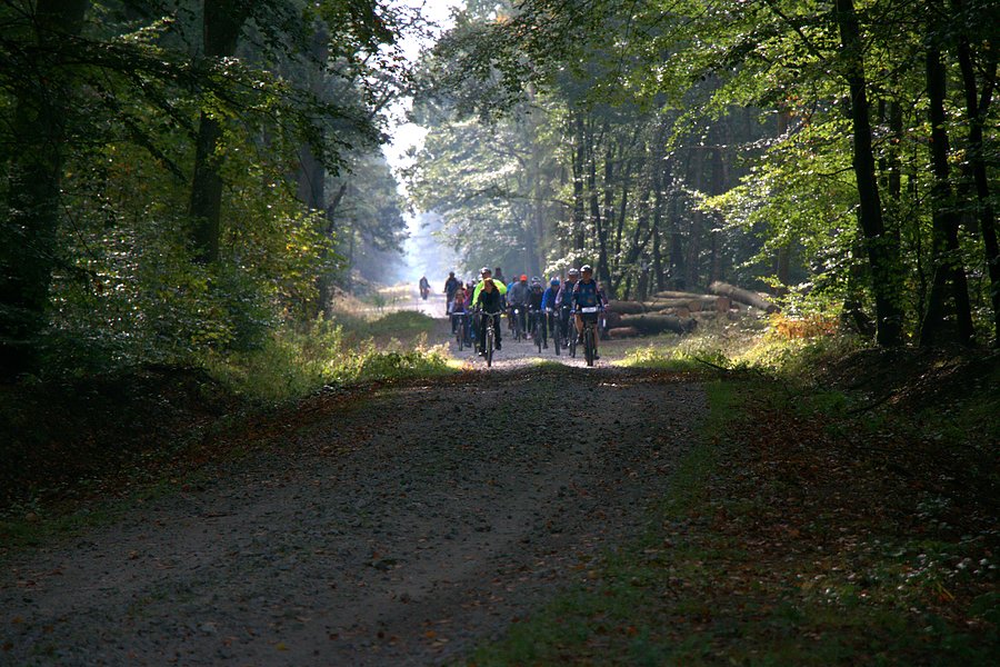 W drodze do Bącznika