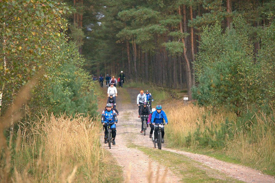 Na drodze pożarowej nr 8