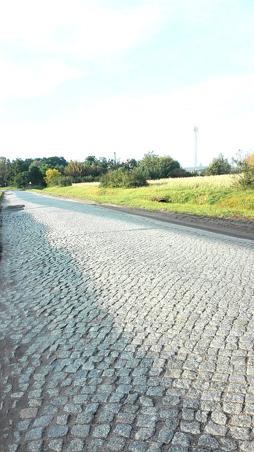 Zdrowy bruk na Chemicznej