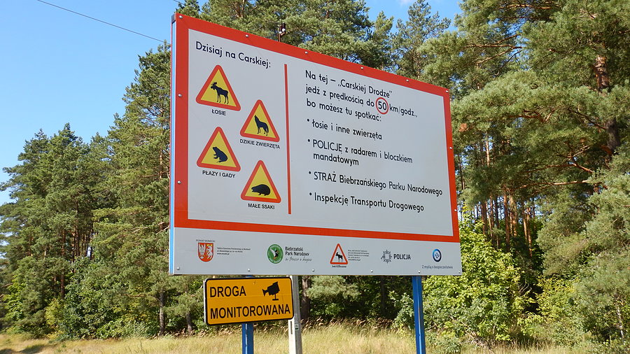 Wyprawa - dzień 3. Łosiostrada