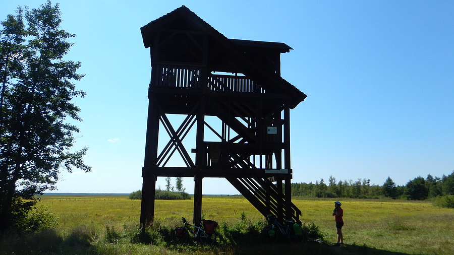 Wyprawa - dzień 3. Punkt widokowy Bagno Ławki