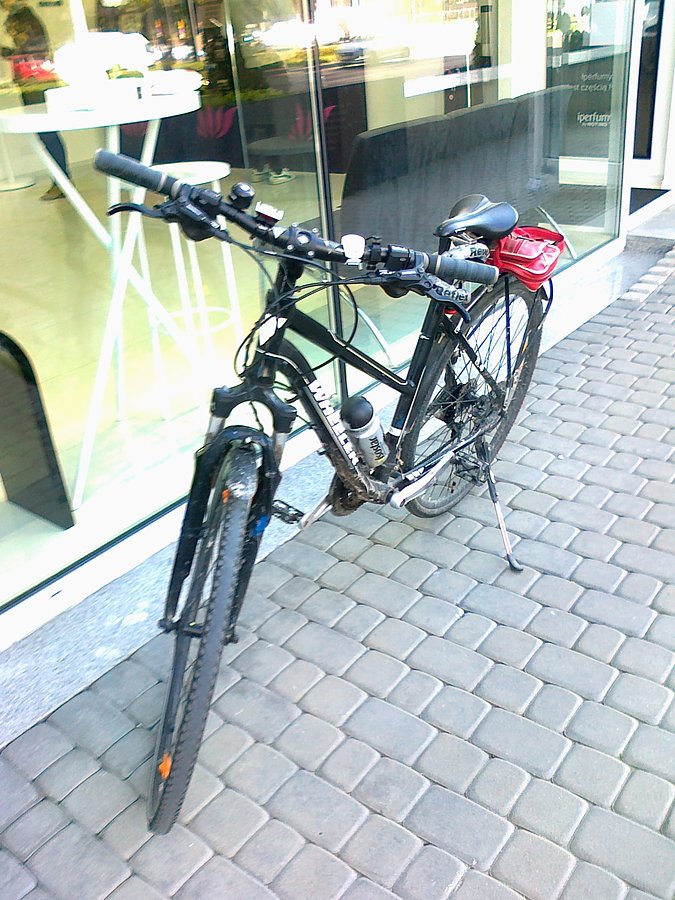 Czarnula przed sklepem