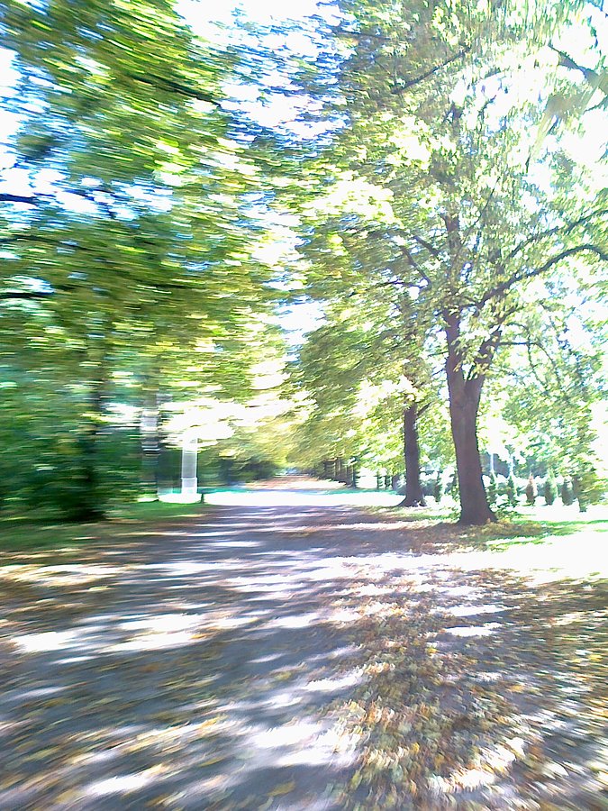A tu..."Jesień idzie ku mnie przez park..."