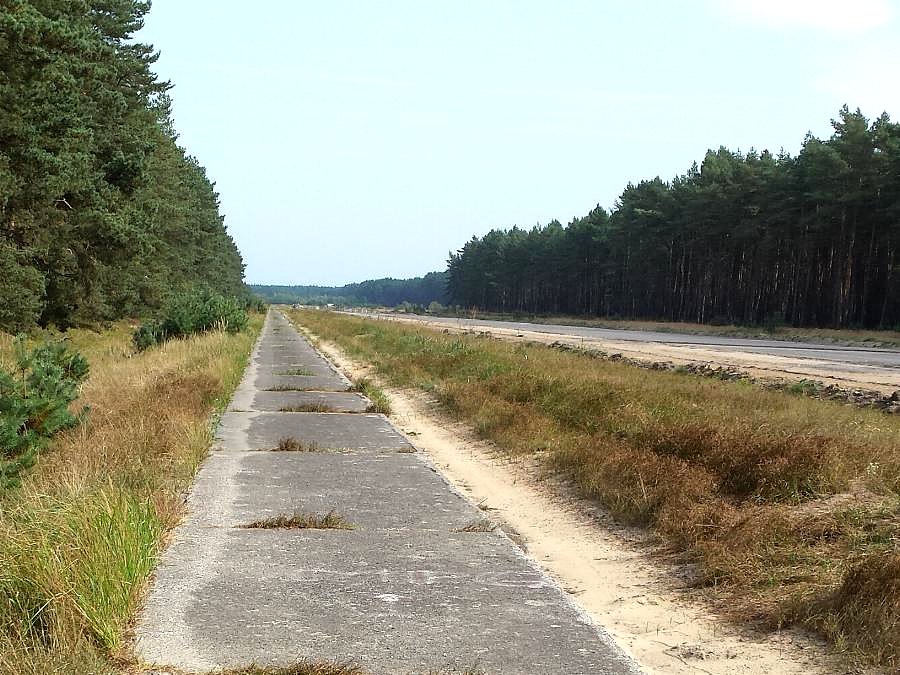 Ścieżka wzdłuż DW 142