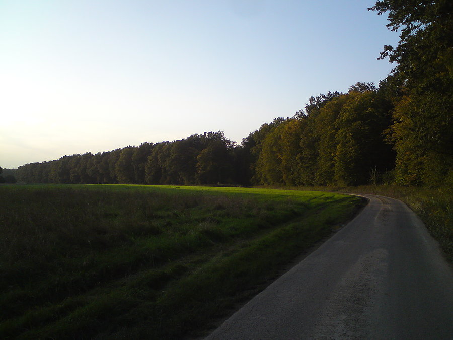 W okolicach Szydłowic