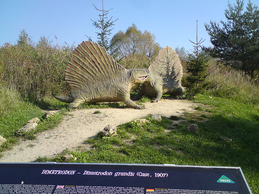 Krasiejów