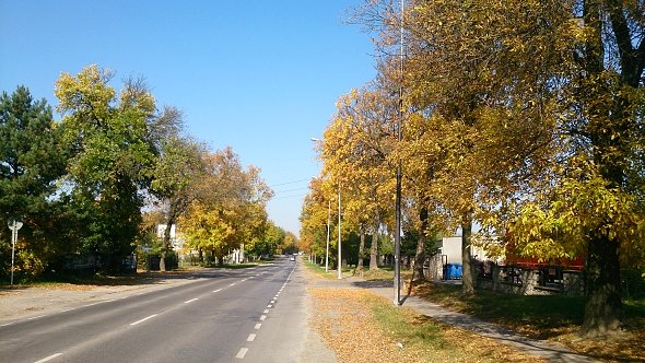 Jesiony się przebarwiły