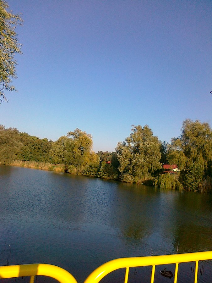 Drugi staw w Zielonkach