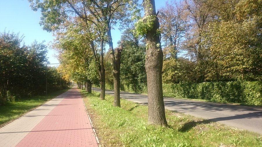 Strzykuły - Kaputy