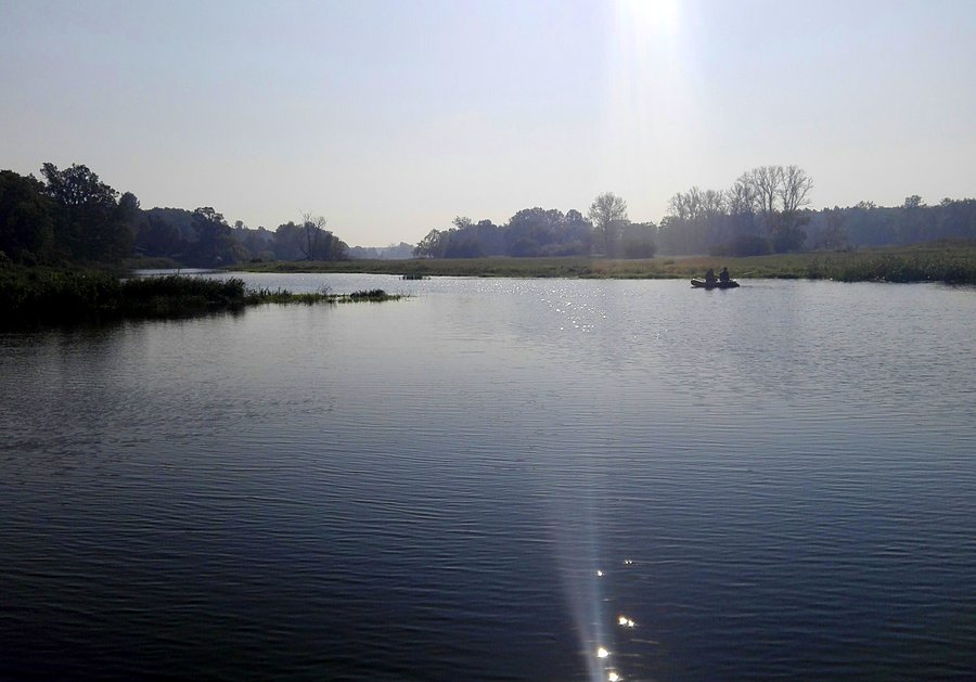 Port Radzewice