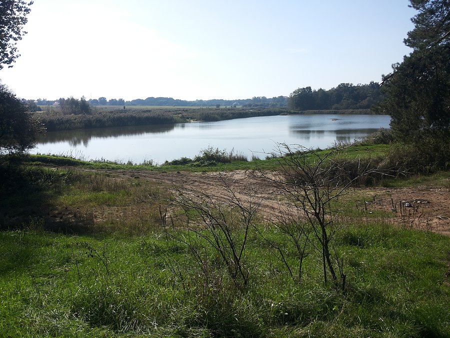 Stawy rybne Pruszaków