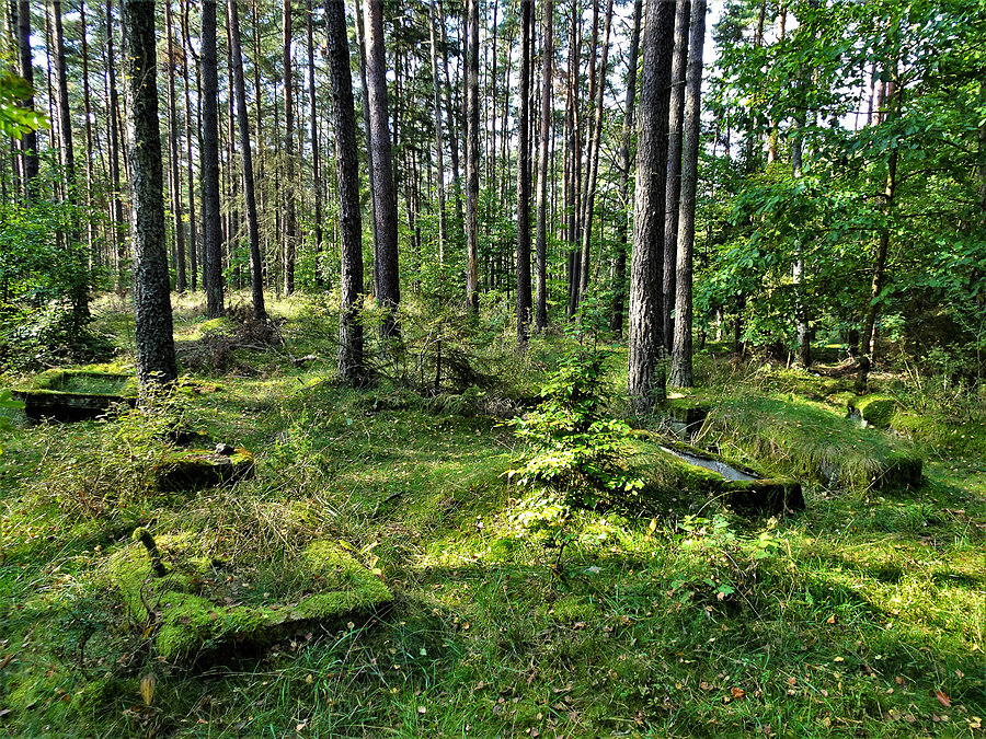 Rowerem po Kociewiu
