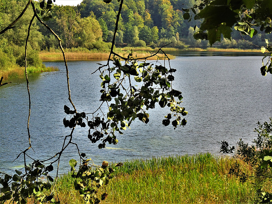 Rowerem po Kociewiu