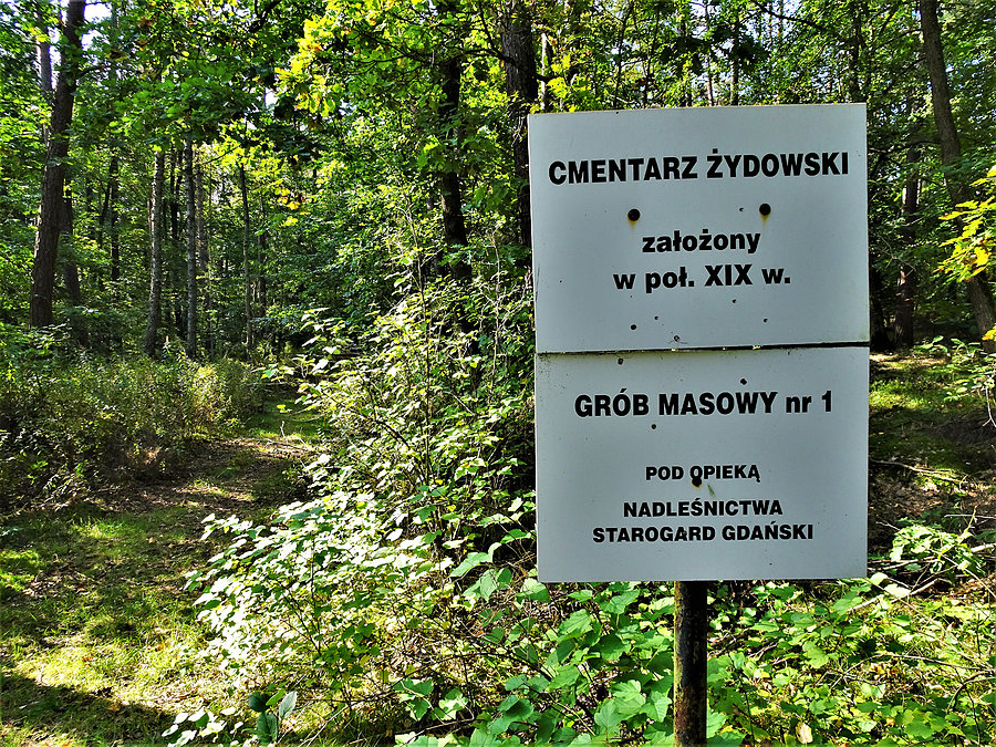 Rowerem po Kociewiu