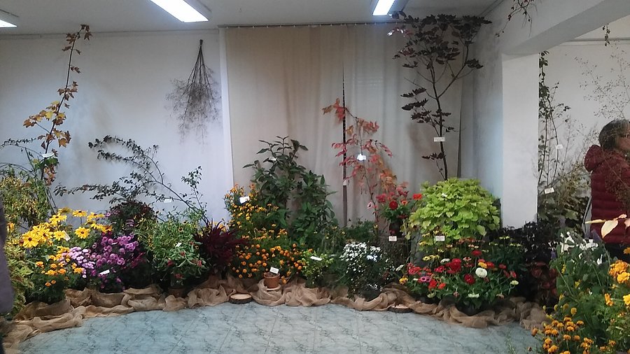 Wystawa ogród botaniczny