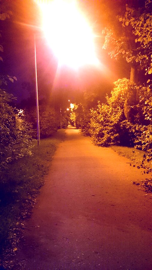 Aleja drzew na Gierdziejewskiego