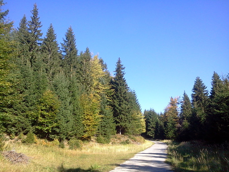 Podjazd