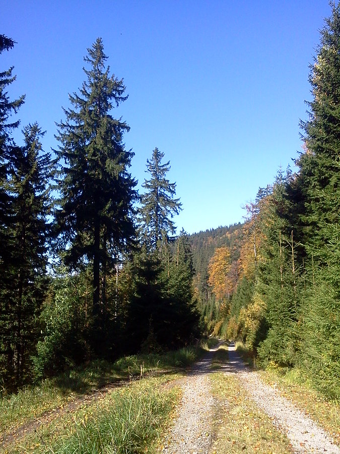 Na zjeździe