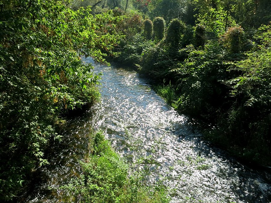 Z mostu nad Czarną