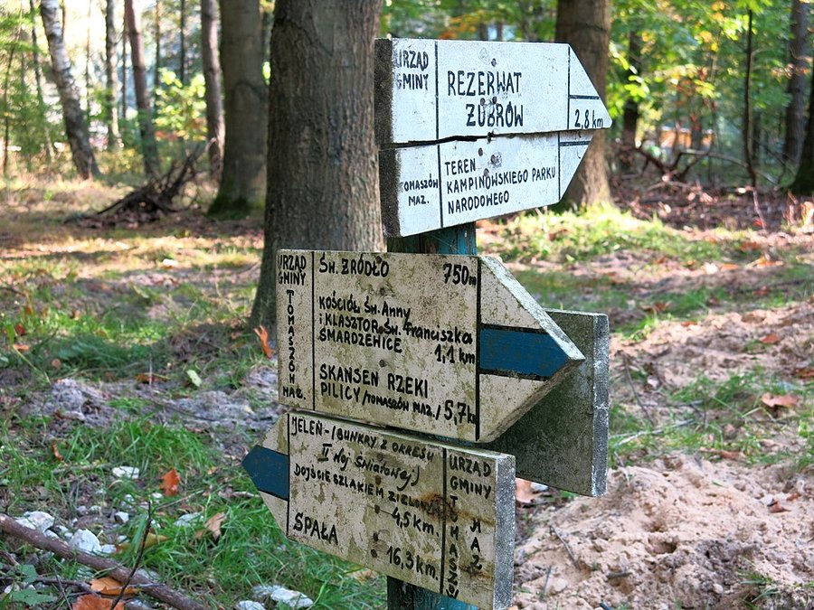Na skrzyżowaniu