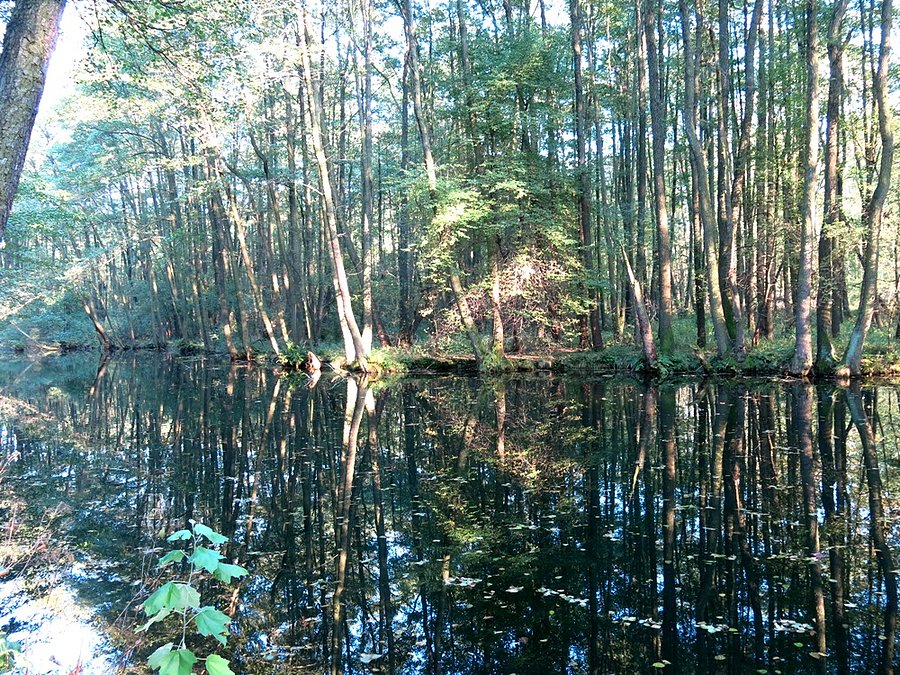 Jesienią na Niebieskich
