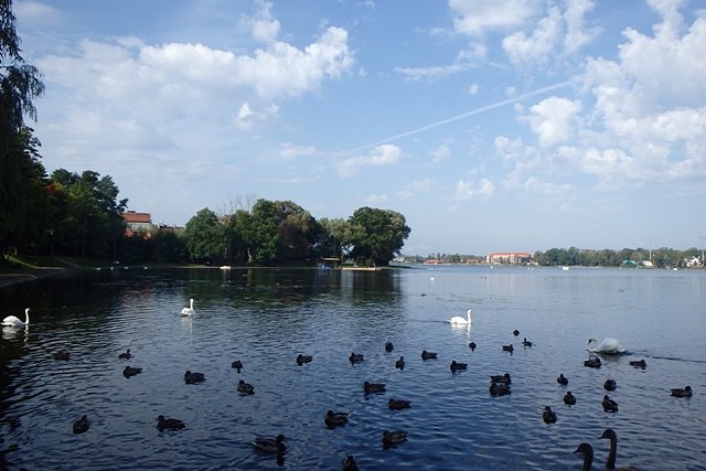 Jezioro Drwęckie w Ostródzie - widok od strony ul. Adama Mickiewicza