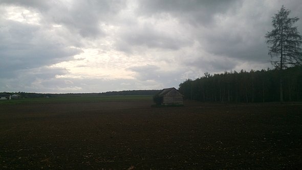 Szopa na polu