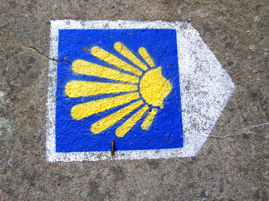 Szlak Camino