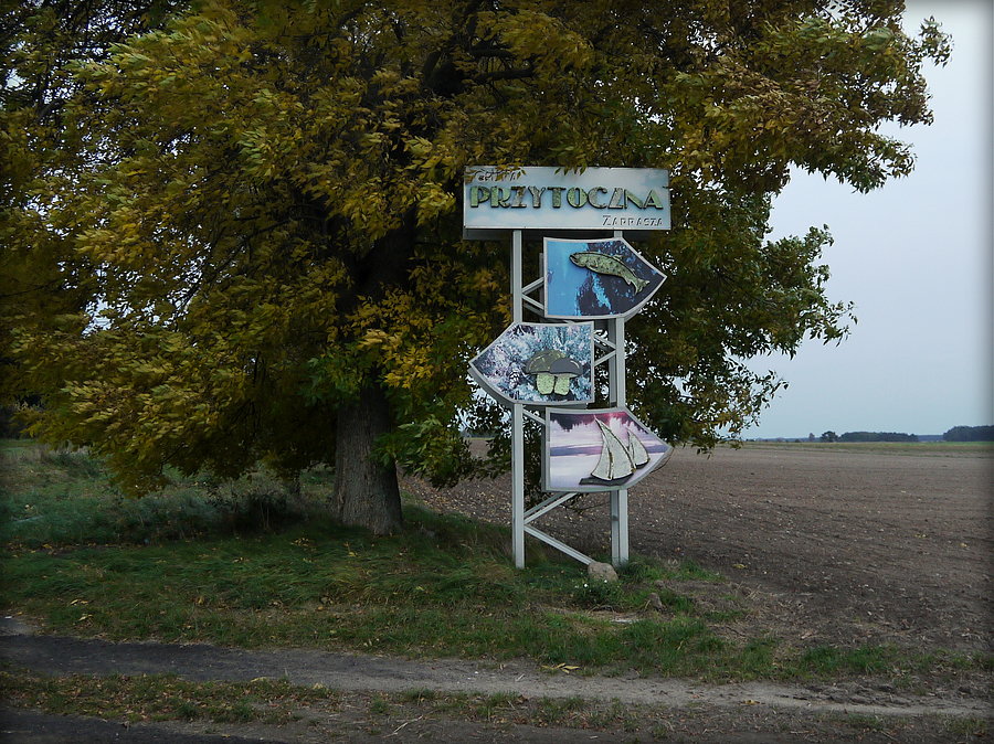 Przytoczna wita
