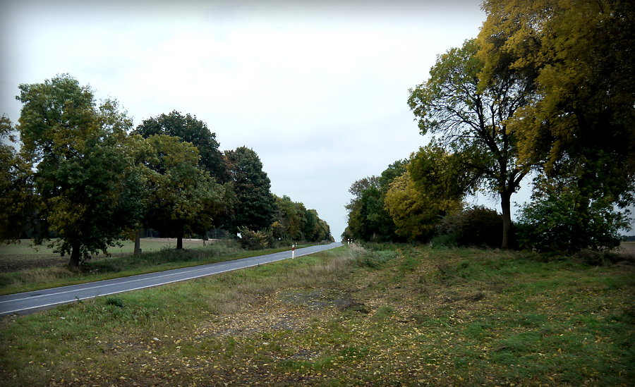 Kierunek Przytoczna