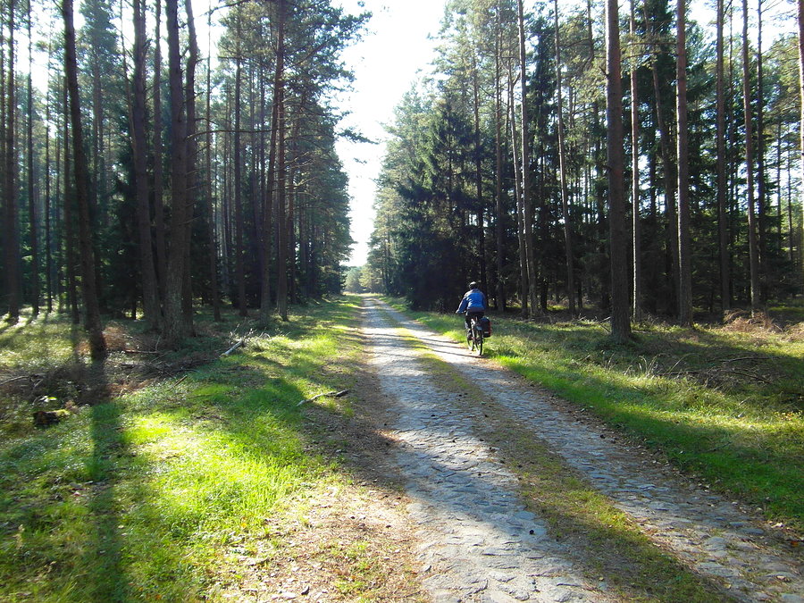 Piękna leśna przeciwpożarowa