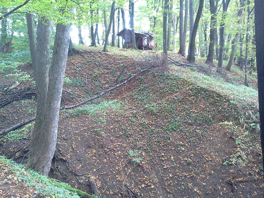 Domniemany gródek w Bruzowicach