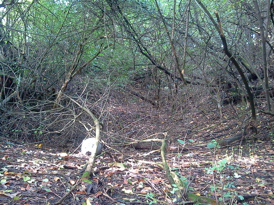 Schottergrube