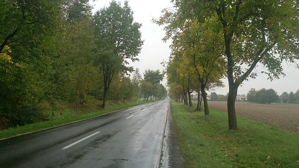 Droga na Niedrzwicę Dużą