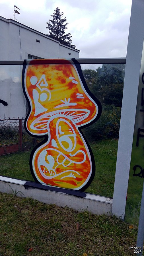 Grzybki rosną nawet na ekranach